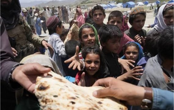 IMG_20260115_003319_161