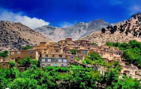 IMG_20260129_131426_852