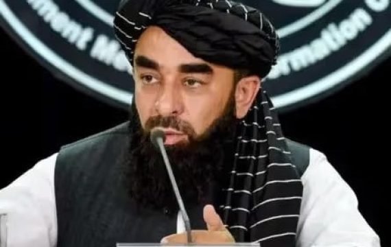 photo_2026-02-19_07-26-37